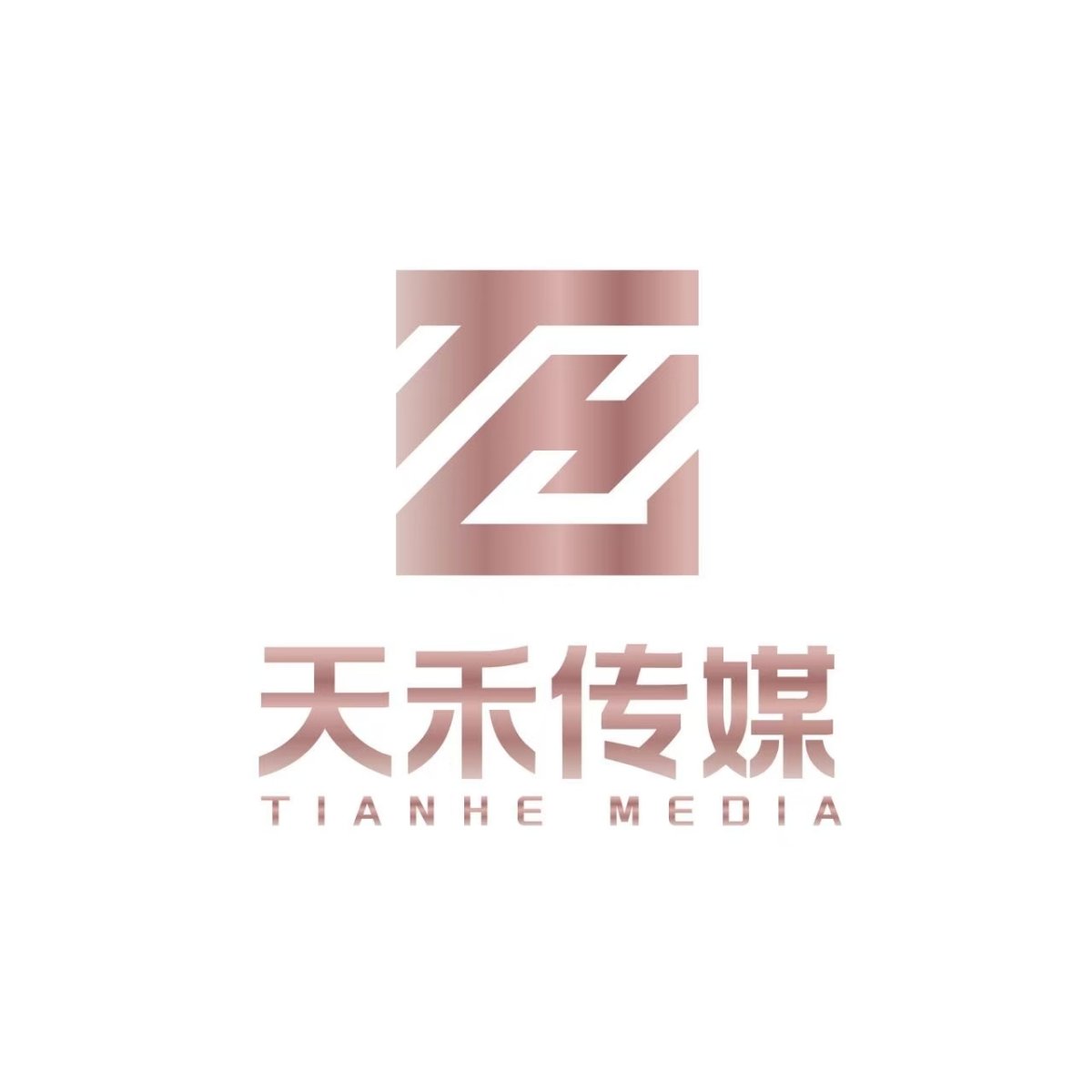 天禾传媒公开资料图